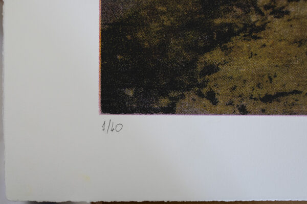 DECAMERON - immagine 6